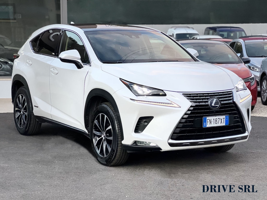 LEXUS - NX 1ª serie